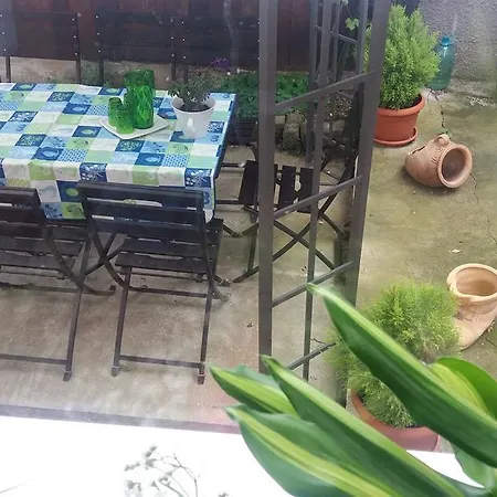 Guest house Calix *